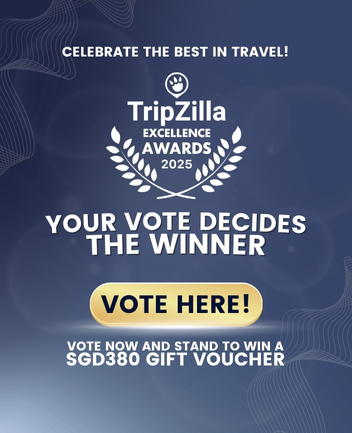 vote_tzea_2025