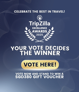vote_tzea_2025_srp