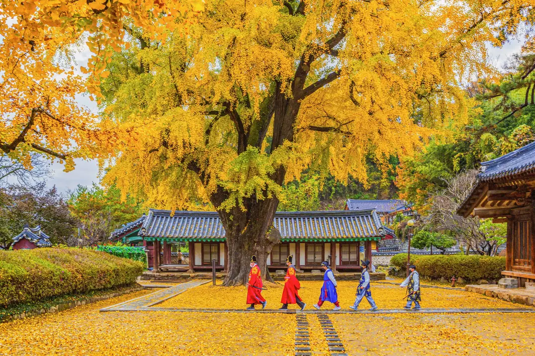 Myeongjae Gotaek, Nonsan-si, Chungcheongnam-do