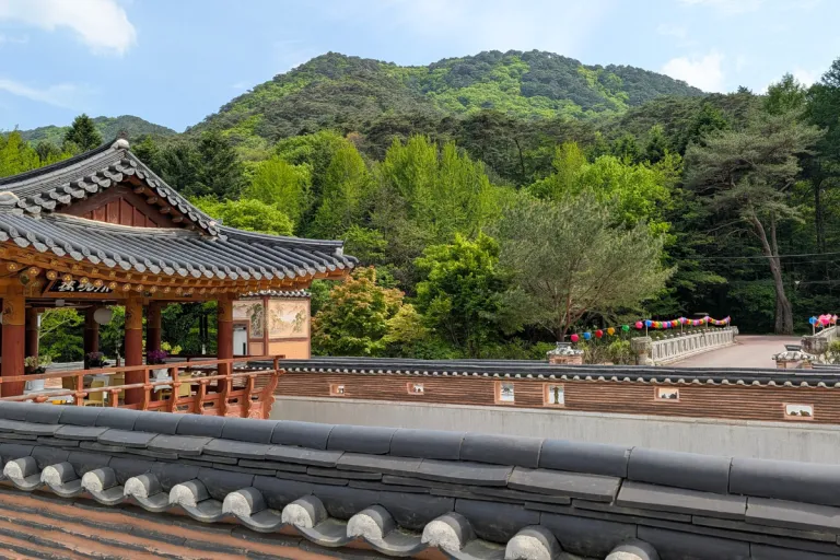 Thumbnail image of Eat and Play Your Way Through Chungcheong, A South Korea That Feels (and Costs) Better Than Europe