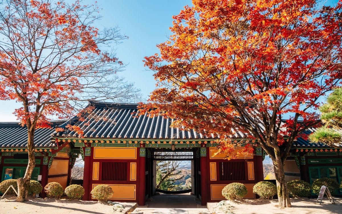 Thumbnail image of Visit Buseoksa Temple in Yeongju