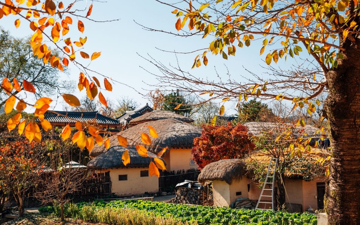 Thumbnail image of Explore traditional hanok charm at Andong Hahoe Village