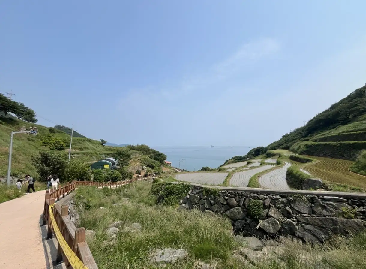 Thumbnail image of See rice terraces at Gacheon Daraengi Village