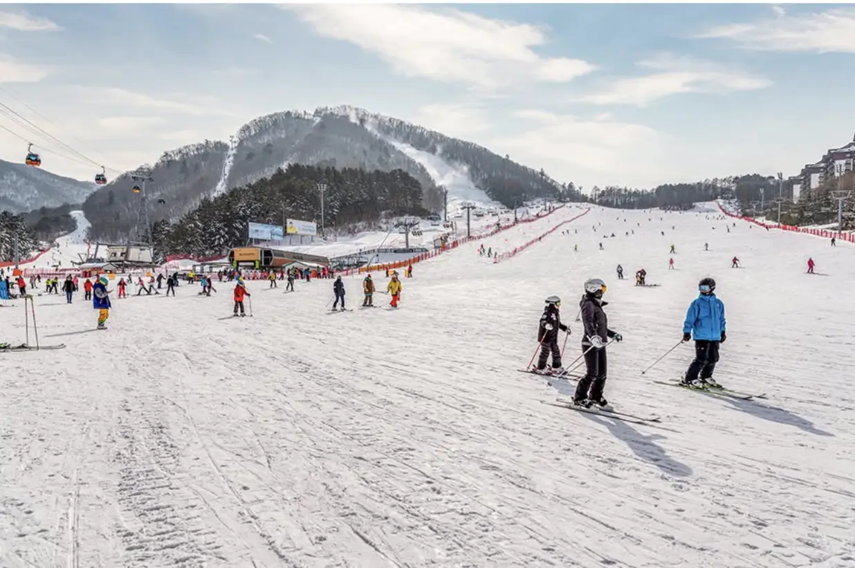 Thumbnail image of Delight in fun-filled ski festivals