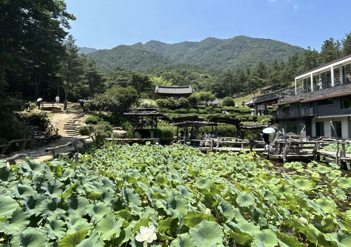 Thumbnail image of Stroll through Suseonsa Temple on Jirisan Mountain