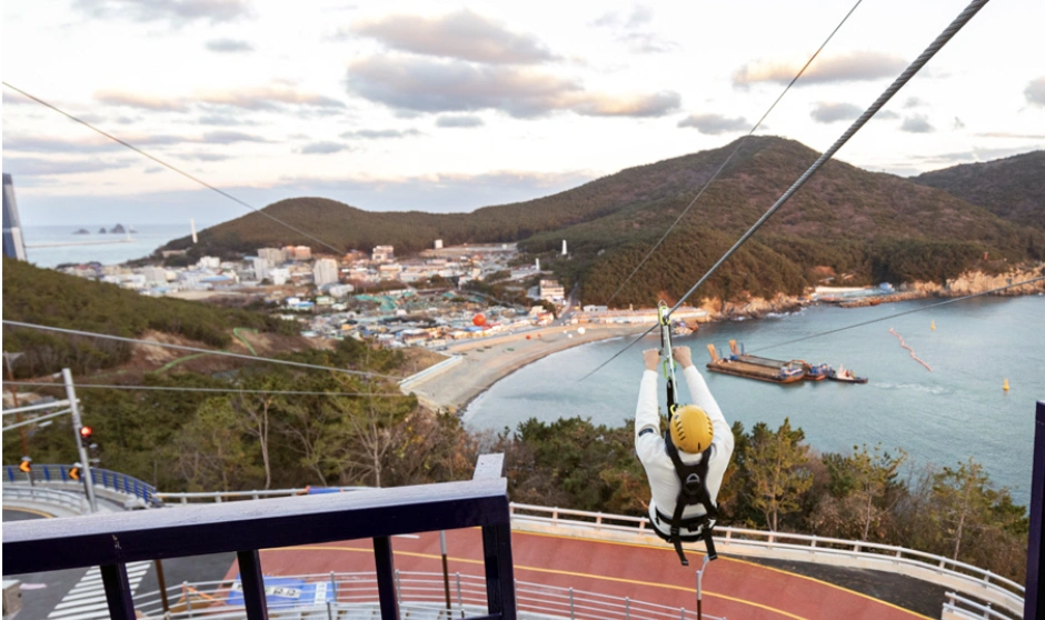 Thumbnail image of Ziplining over Taejongdae Cliffed Coast