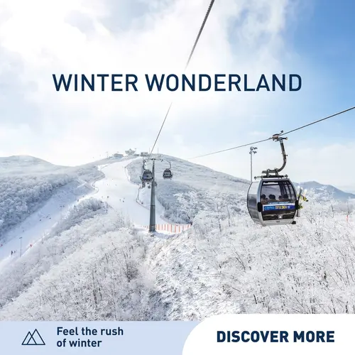 Winter Sports