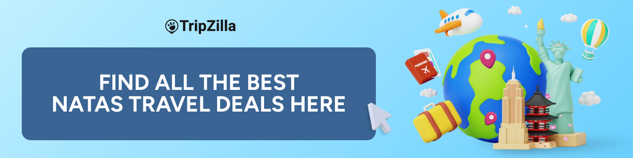 natas-fair-2025-search-adhesion