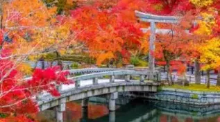 Autumn Season in Japan: 15 Things to Do & Places to Visit